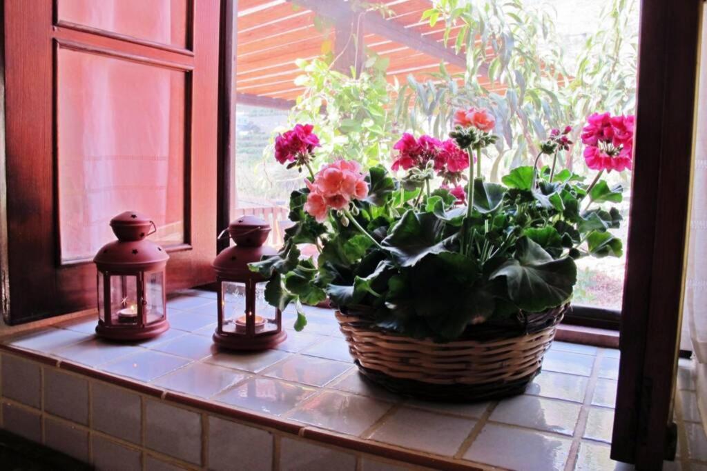 Casa Rural La Pitanga إرميغوا المظهر الخارجي الصورة