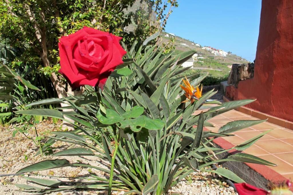 Casa Rural La Pitanga إرميغوا المظهر الخارجي الصورة