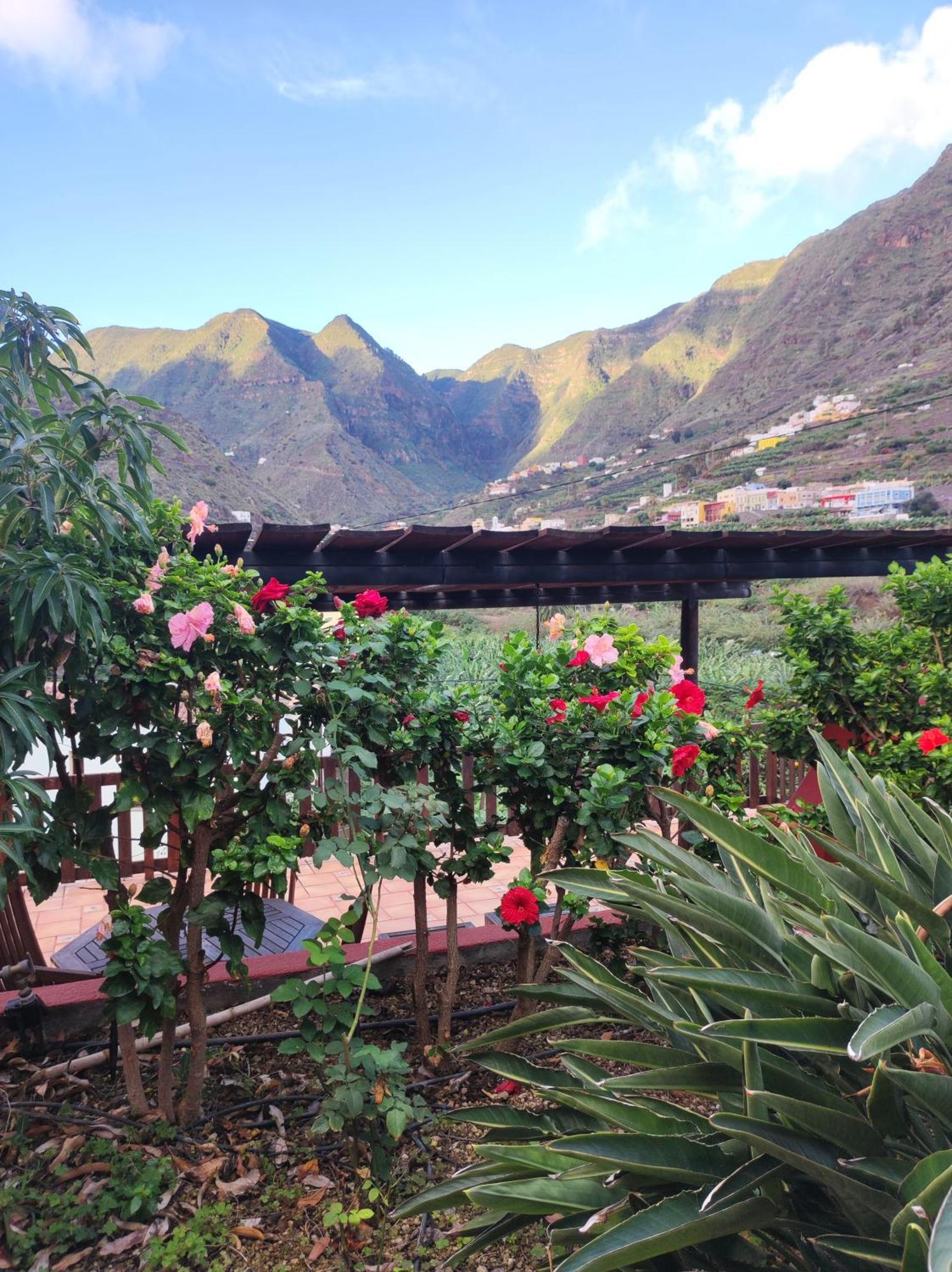 Casa Rural La Pitanga إرميغوا المظهر الخارجي الصورة